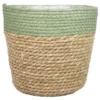 Bela Arte Bloempot- Groen - Rotan Plantenmand - 19 X 16 Cm