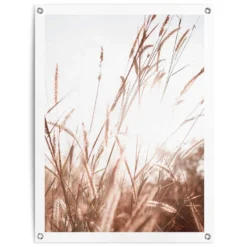 Tuinposter Zomer 80x60 Cm Beige