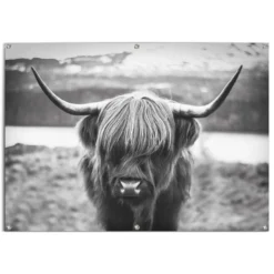 Tuinposter Schotse Hooglander 100x140 Cm Zwart-Wit