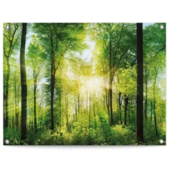 Tuinposter Zomer Bos 60x80 Cm Groen