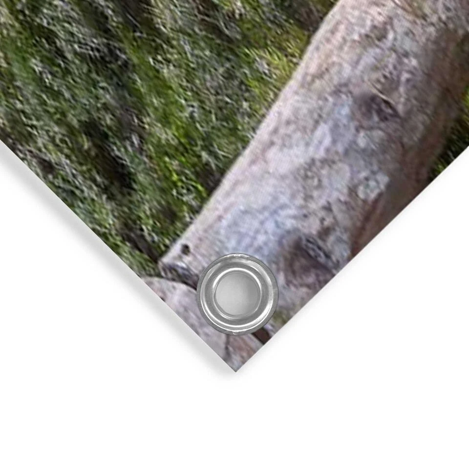 Tuinposter Morgenrood 80x120 Cm Blauw - Afbeelding 4