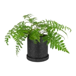 QUVIO Bloempot - 18x18 Cm - Keramiek - Zwart