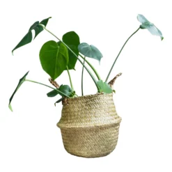 QUVIO Bloempot Gevlochten Rond Met Handvaten - M