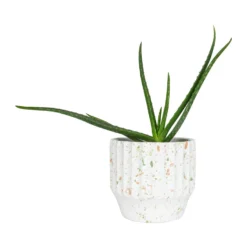 QUVIO Bloempot - Beton - Wit Met Gekleurde Spikkels