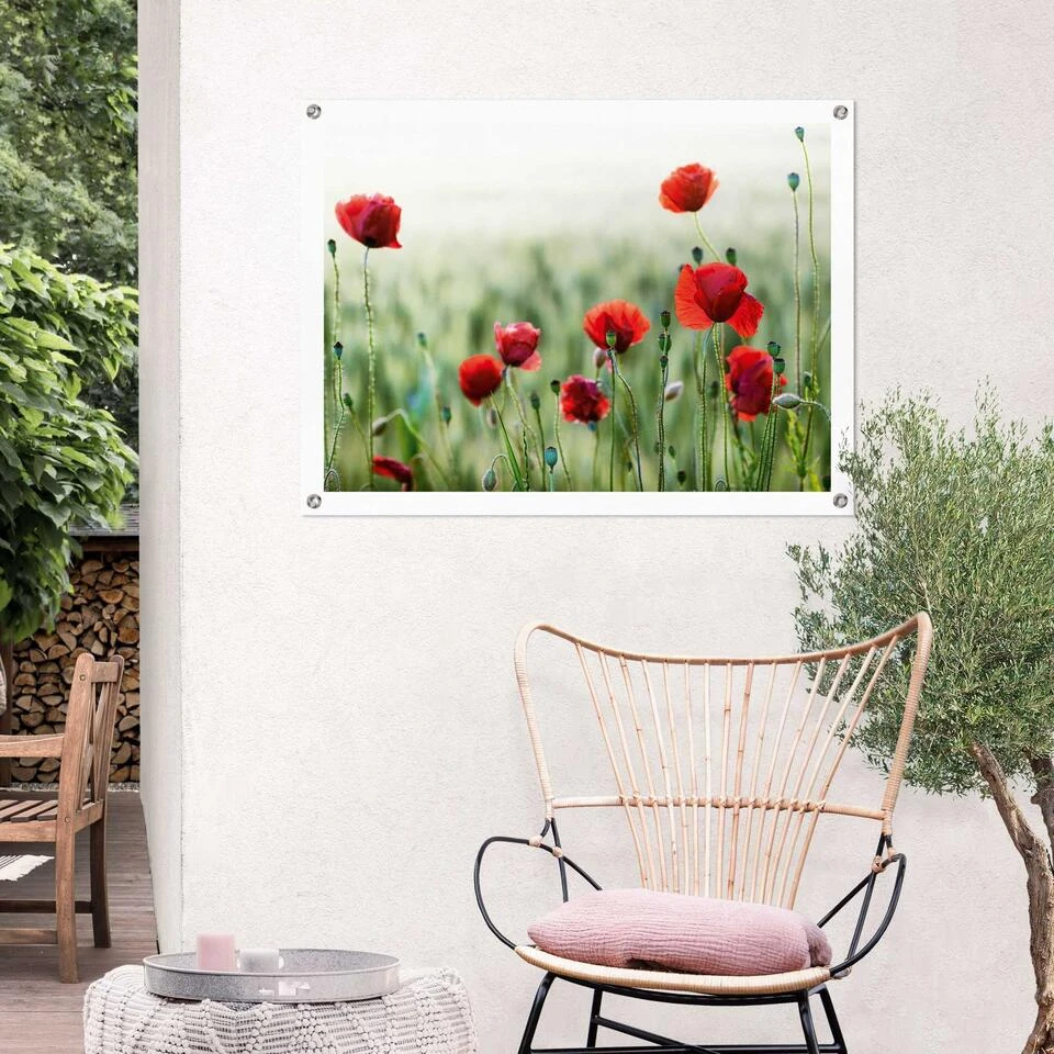 Tuinposter Wilde Klaprozen 60x80 Cm Rood - Afbeelding 2
