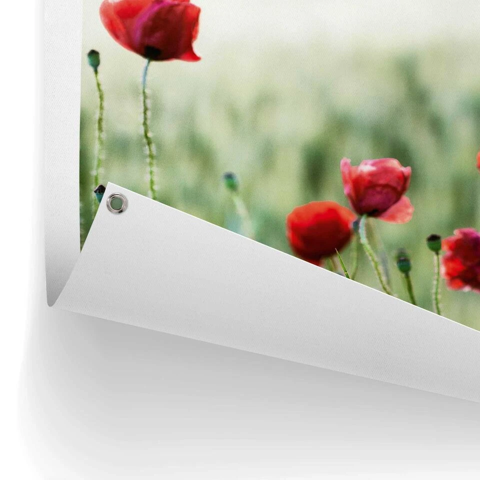 Tuinposter Wilde Klaprozen 60x80 Cm Rood - Afbeelding 3