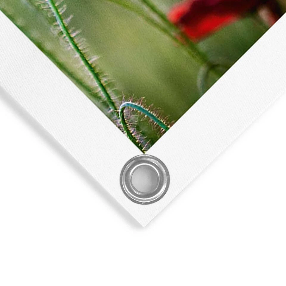 Tuinposter Wilde Klaprozen 60x80 Cm Rood - Afbeelding 4