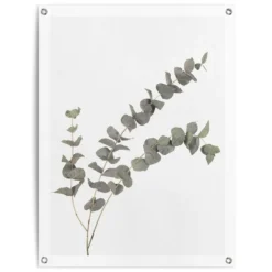 Tuinposter Eucalyptus 80x60 Cm Groen