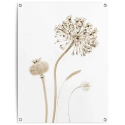 Tuinposter Droogbloemen 80x60 Cm Beige