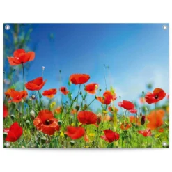 Tuinposter Zomerbloemen 60x80 Cm Rood
