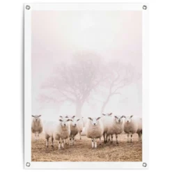 Tuinposter Schaap In De Mist 80x60 Cm Beige