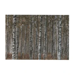 Art For The Home - Buitencanvas - Berkenbos - 50x70cm